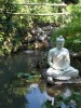 Love Sessions with Mother Nature every day!!! Сессии ЛЮБВИ с Духом Природы каждый день!!!