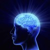 Нейро-Лингвистическое Квантовое Программирование ( НЛП)- Neuro-Quantum Science ( Mind Programming)