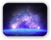 Законы Вселенской Гармонии и Мульти-Лингвистическое Древо Жизни!!! (The Universal Law and Multi-Lingual Tree of Life) (The Cosmic Tree of Life...) The Cosmic Tree of Life...