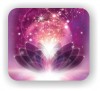 Lotus of Healing Essentials