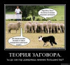 Кому нужен 'Вашингтонский консенсус'? (Ты до сих пор доверяешь мнению большинства?) Ты до сих пор доверя…
